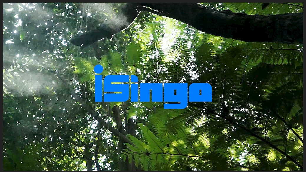 Thumbnail 29