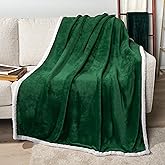 PAVILIA Sherpa Fleece Throw Blanket for Couch, Emerald Green, Plush Soft Fuzzy Sofa Blanket, Cozy Reversible Winter Throw for Women Men, 50x60 Inches