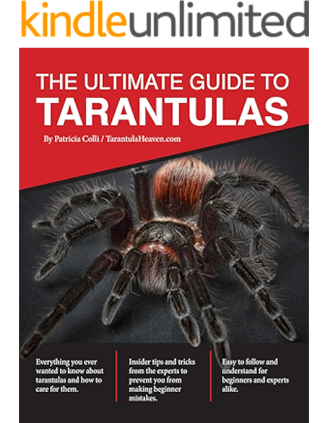 The Ultimate Guide To Tarantulas Kindle Edition By Colli