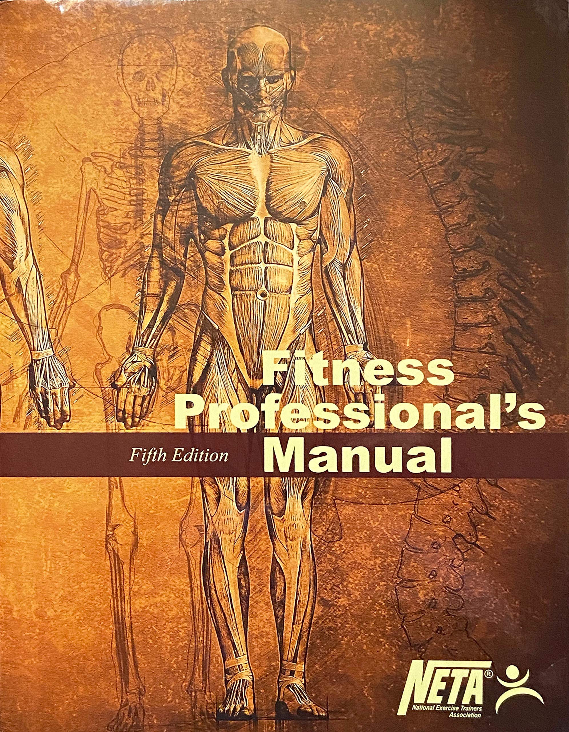 柔らかい Tr1805 アメリカ大リーグ メジャーリーグ トレーナーズ バイブル The Professional Baseball Trainer S Fitness Book Mojeirysy Pl