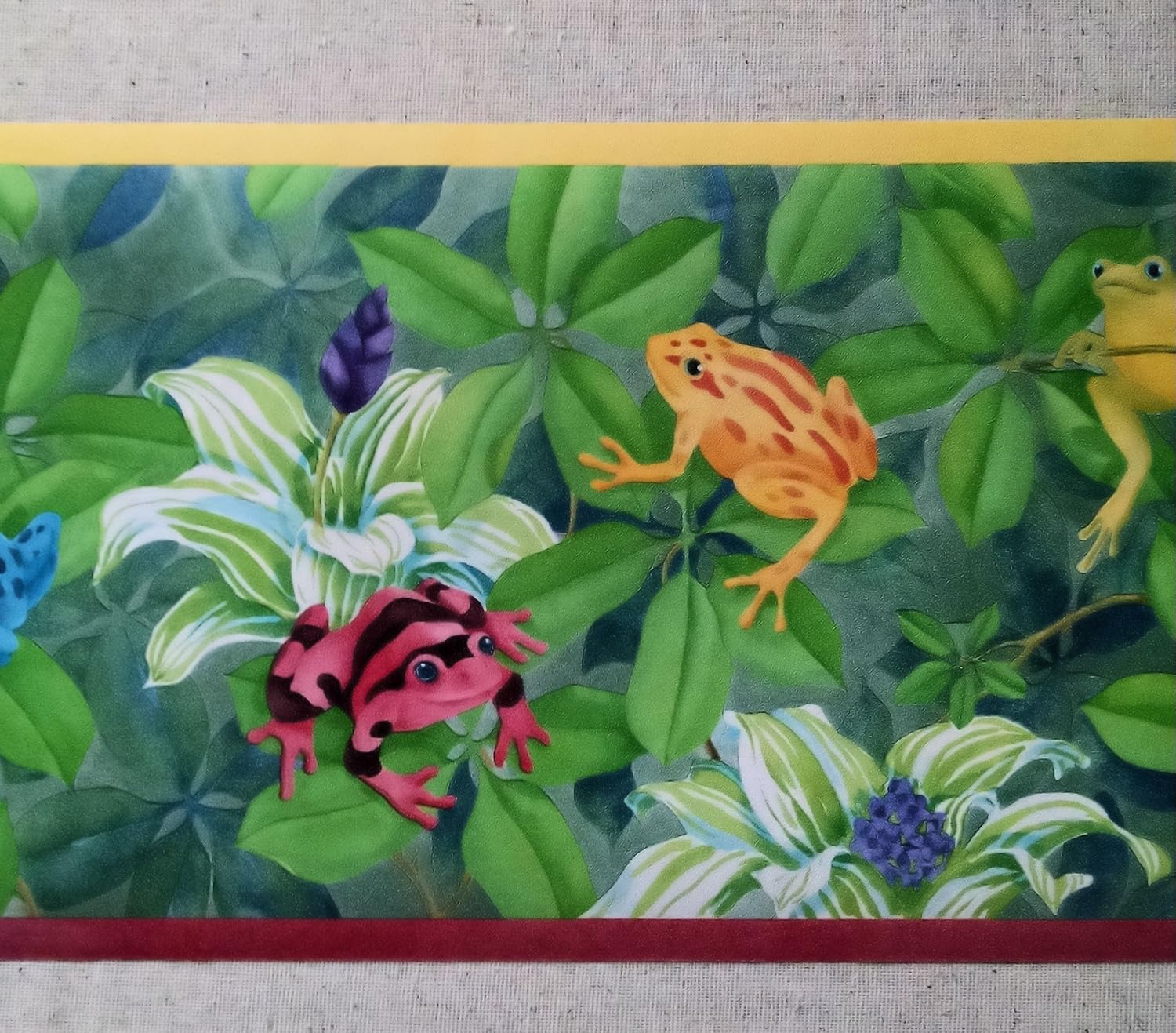 Jungle Rain Forest Frogs Wallpaper Border Cc810b Amazon Com