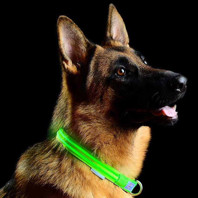The Pet Industries Metal Buckle LED Dog Collar