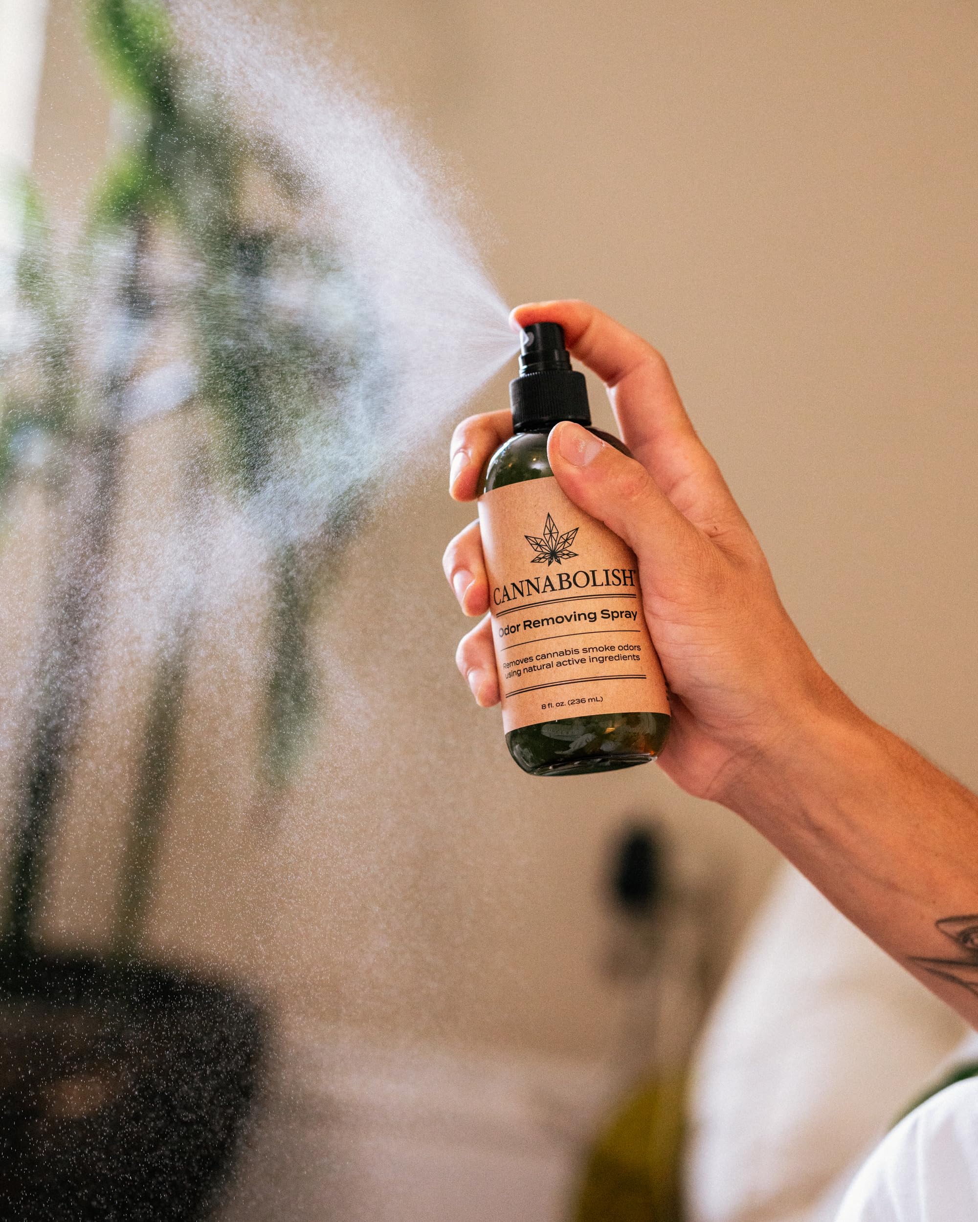 Cannabolish Wintergreen Smoke Odor Eliminator Spray and Air Freshener, 8 fl. oz, Natural Ingredients