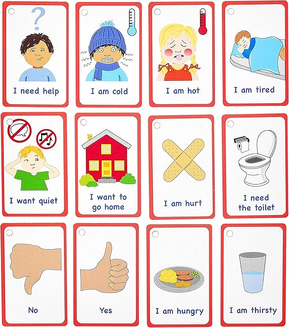 My Essential Needs Cards 12 Flash Cards for visual aid Special Ed