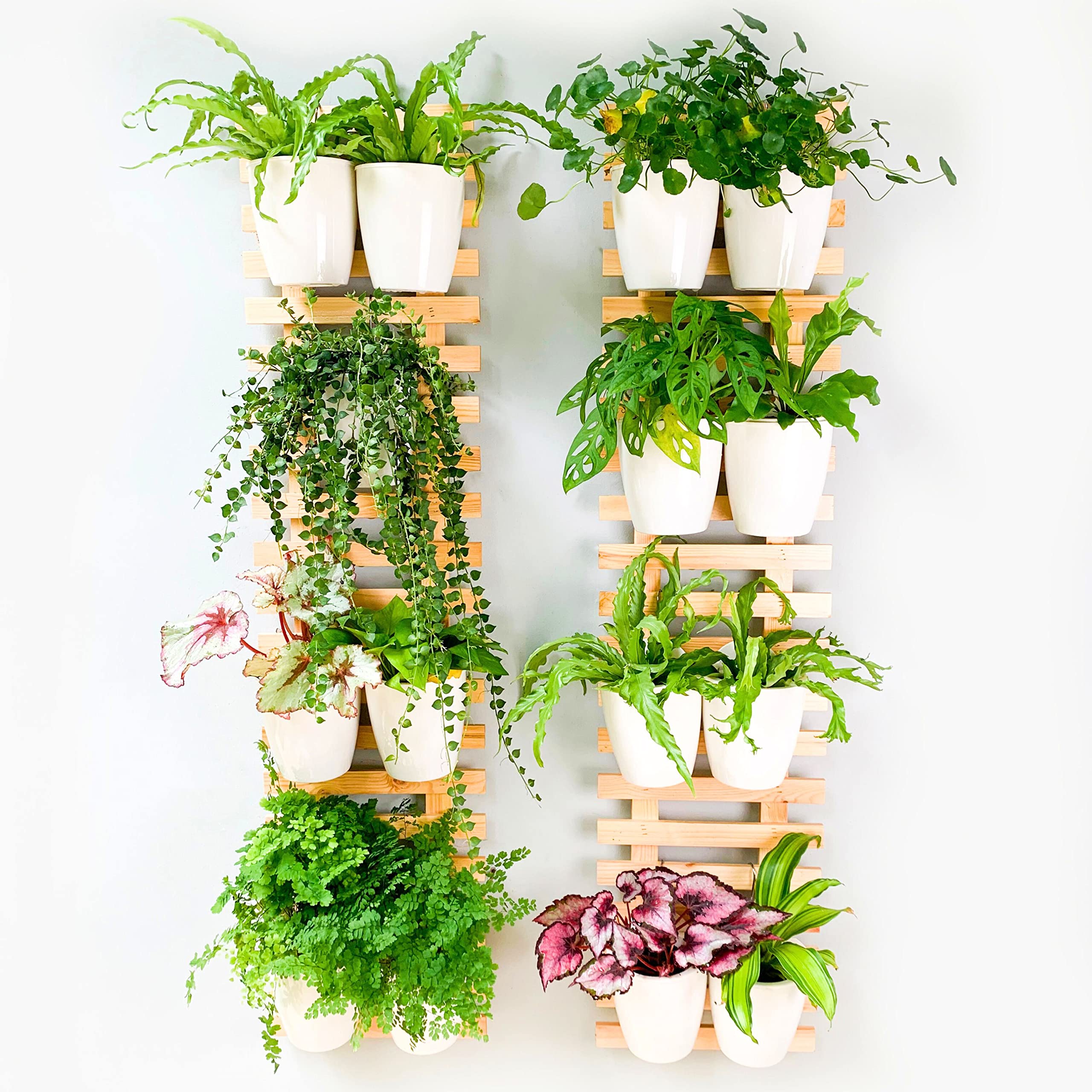 ShopLaLa Wooden Wall Planter - 2 Pack Wall Hanging Planters for Indoor ...