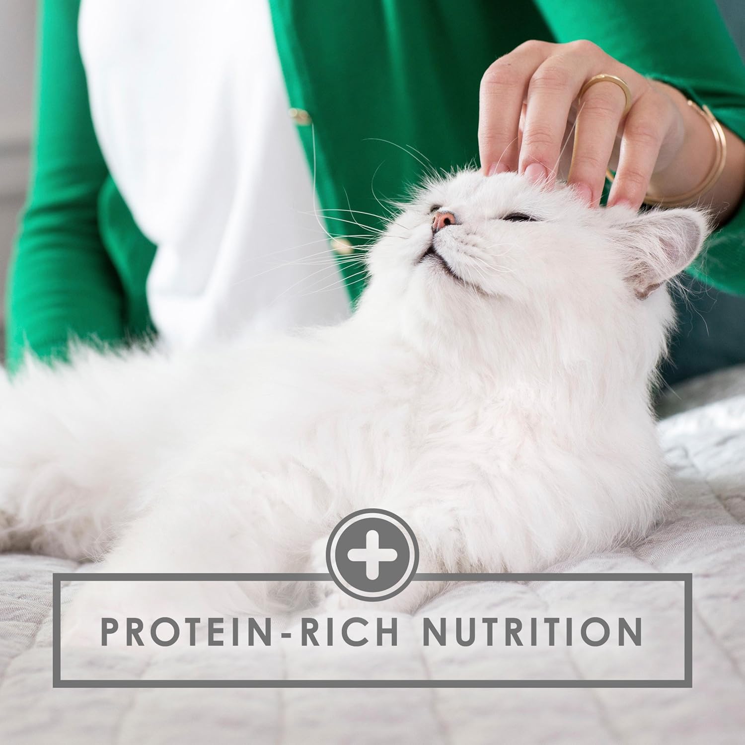 Purina Fancy Feast Gravy Wet Cat Food Variety Pack, Poultry & Beef Grilled Collection - (24) 3 oz. Cans : Canned Wet Pet Food : Pet Supplies