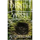 Death Wish (Emerson and Snow Book 18)
