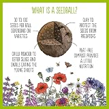 Seedball Wildlife Seed Bombs 100 Pack Bee Friendly Wildflower Mix view 5