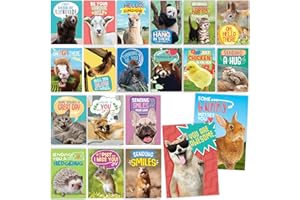 T MARIE 40 Funny Animal Postcards - Bulk Thinking of You Postcard Pack for Kids, Students, Friends, Teacher and More - Say He