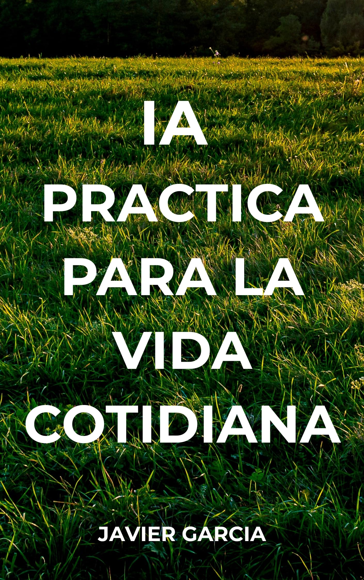 IA Practica para la Vida Cotidiana en