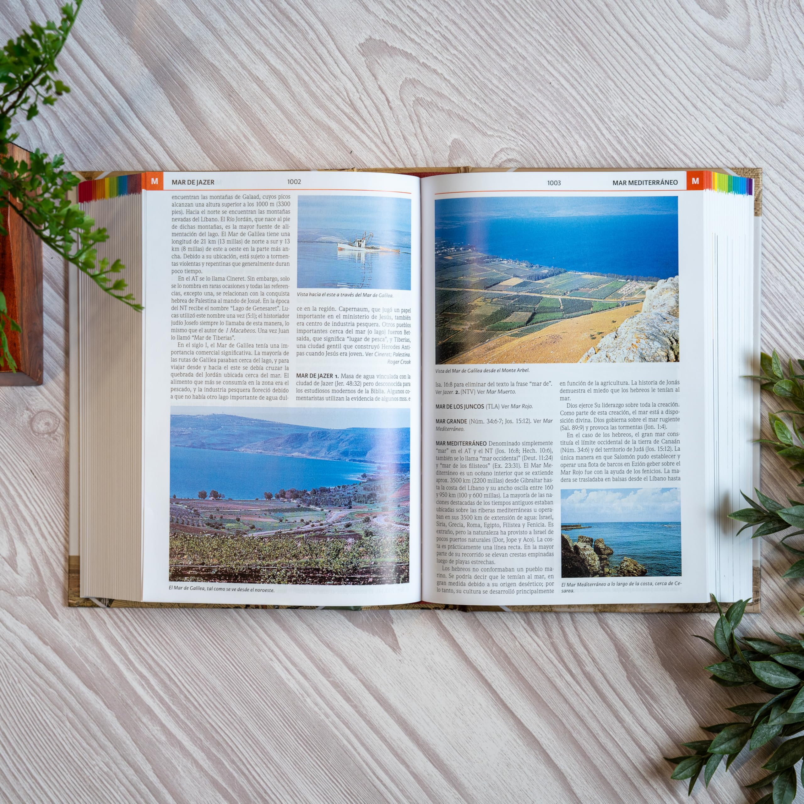 Diccionario Bíblico Ilustrado Holman | Holman Illustrated Bible Dictionary (Spanish Edition)