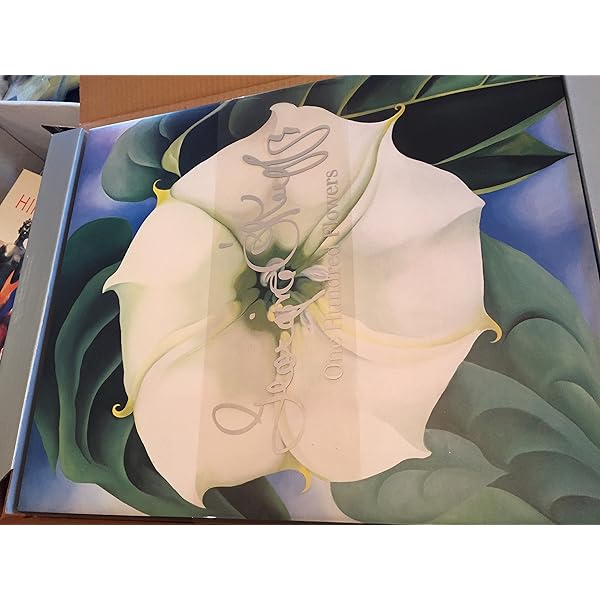 Georgia O'Keeffe: Nancy Frazier: 9781572153004: Amazon.com: Books