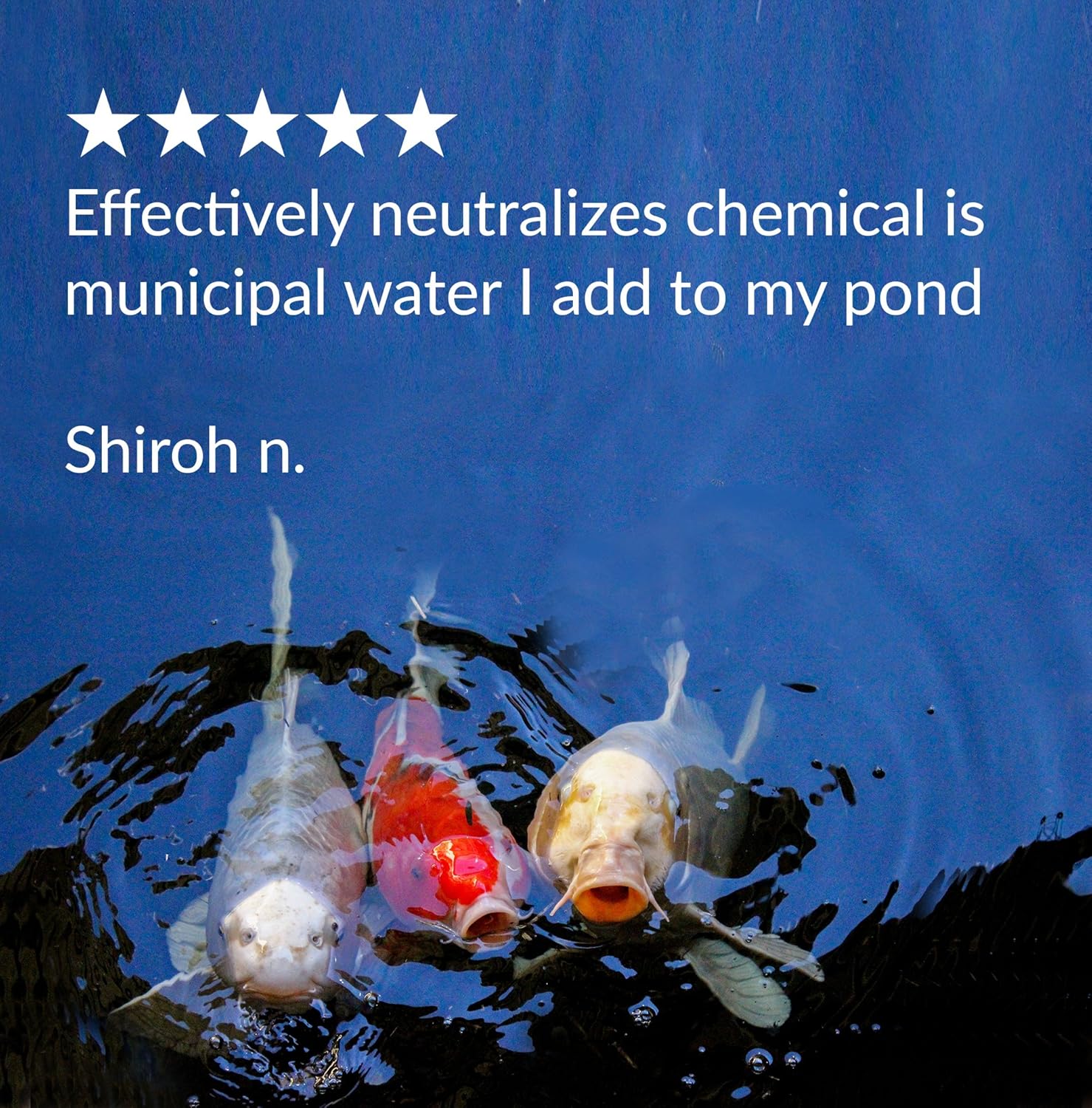 API POND CHLORINE & HEAVY METAL NEUTRALIZER Pond Water Neutralizer 16-Ounce Bottle, White (141B): Furniture & Decor