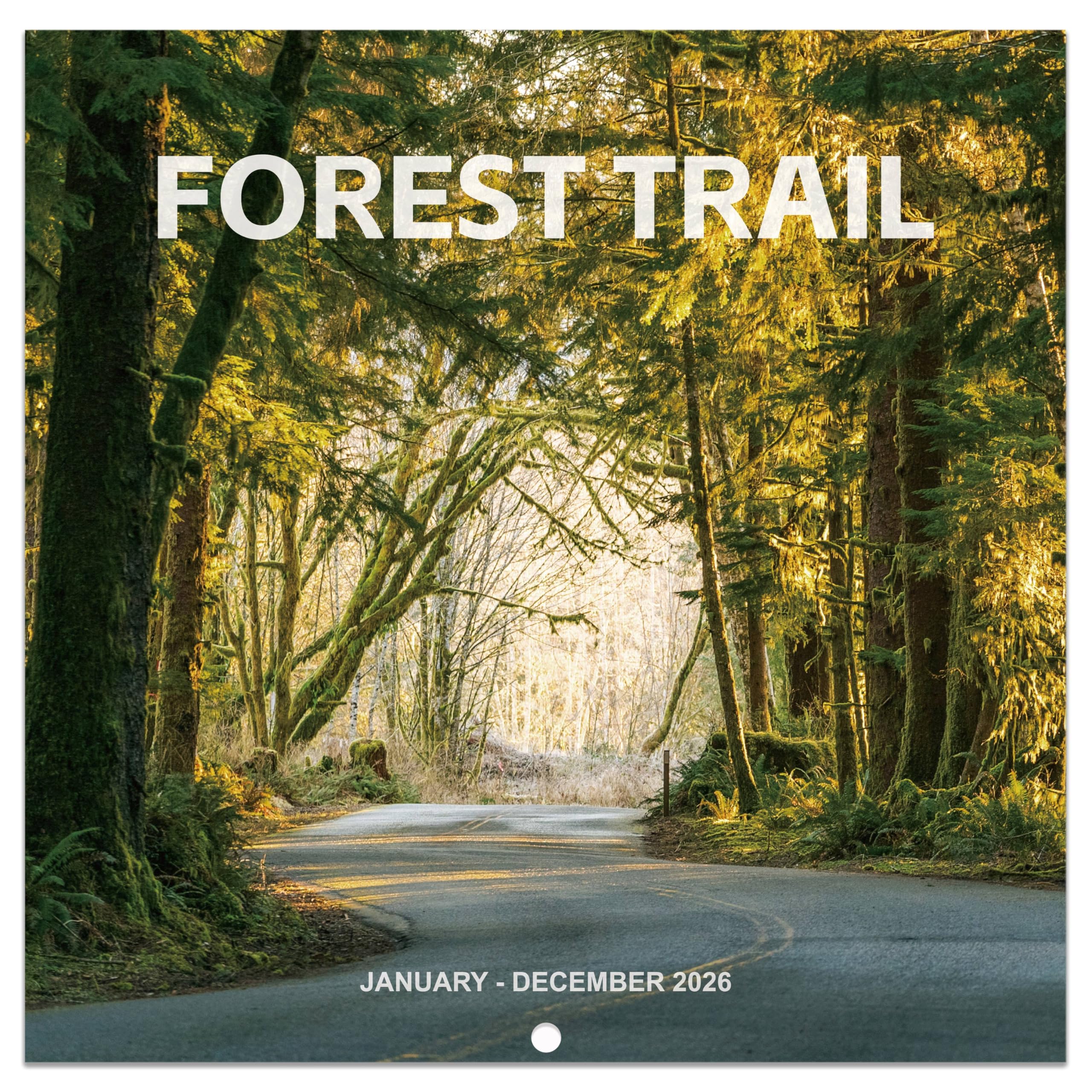 Photo 1 of 2026 Calendar - 2026 Wall Calendar 12 months from Jan. 2026 - Dec. 2026, 12" x 24" (Open), Scenic Path Wall Calendar 2026 with Thick Paper