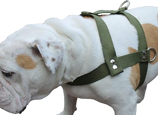 dog pulling harness amazon