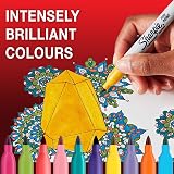 Sharpie Permanent Marker Set Limited Edition Holiday Colour 25 Fine Point view 4