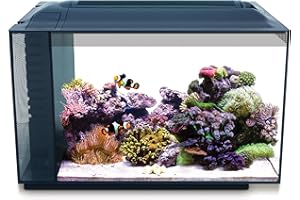 Fluval Evo XII Saltwater Aquarium Kit, 13.5 Gal. – Saltwater Fish Tank with Reef-Capable LED, Efficient 3-Stage Filtration and Seamlessly Integrated Hardware