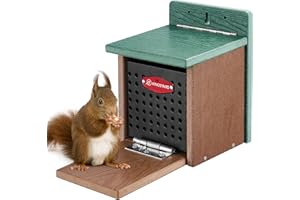 Kingsyard Squirrel Feeder Box for Outside, Recycled Plastic Squirrel Feeder with Removable Metal Front Panel & Perch, Easy to Fill & Clean, Weather-Proof Roof (Green)