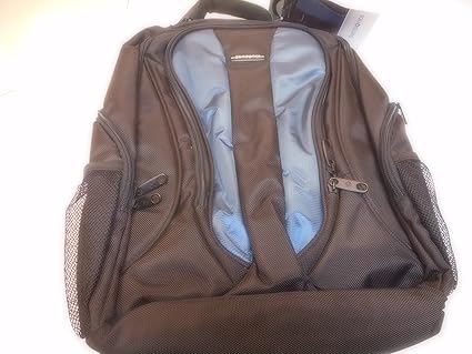 samsonite dunewood backpack