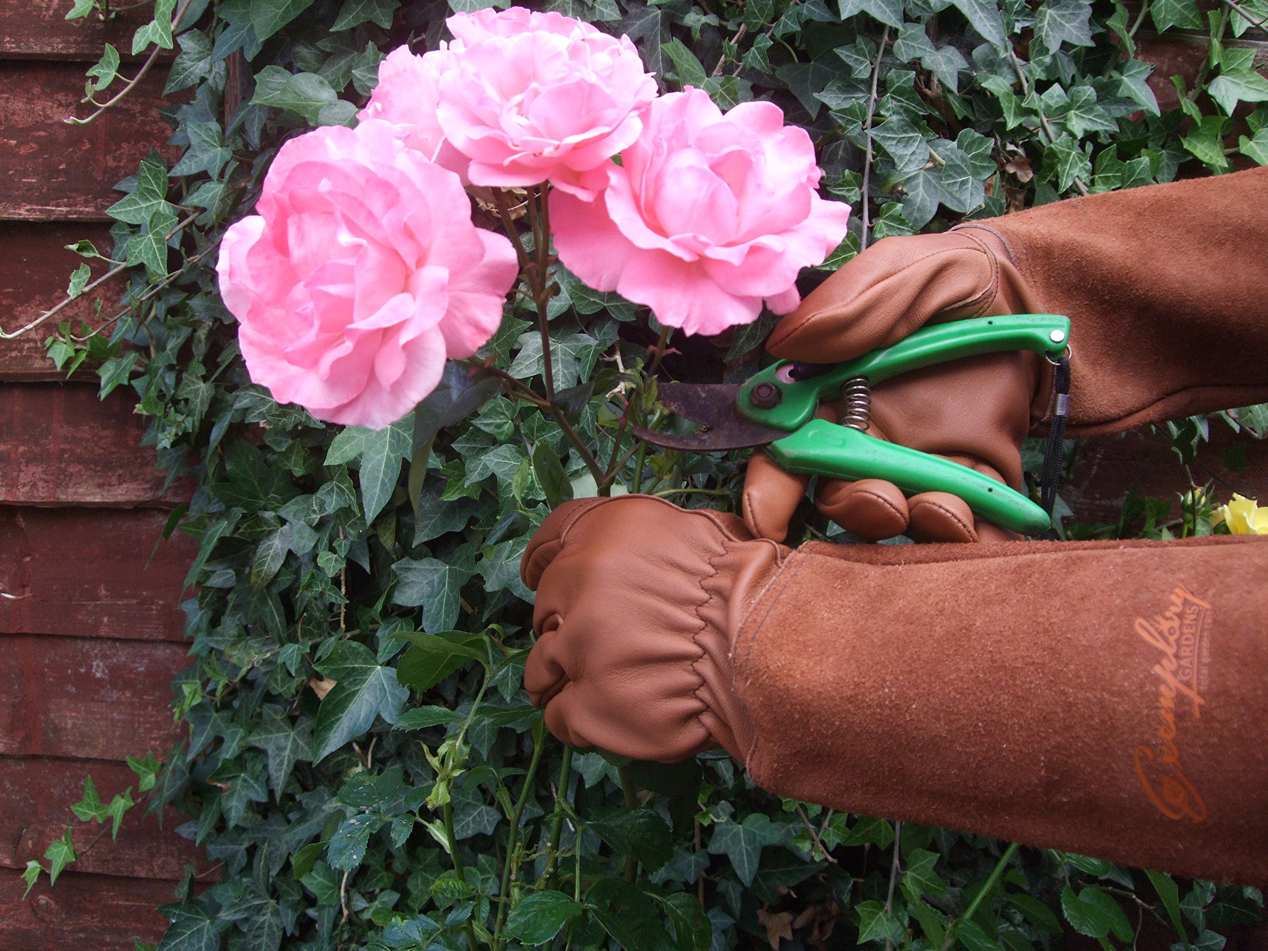 Rose Pruning Gloves for Men and Women. Thorn Proof Goatskin Leather