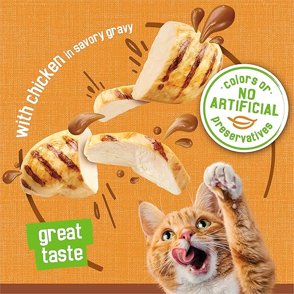 PURINA FRISKIES GRAVY PATE, WET CAT FOOD EXTRA GRAVY PATE WITH CHICKEN IN SAVORY – (PACK OF 24) 5.5 OZ. CANS