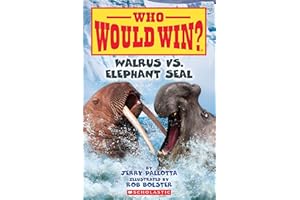 Walrus vs. Elephant Seal (Who Would Win?)