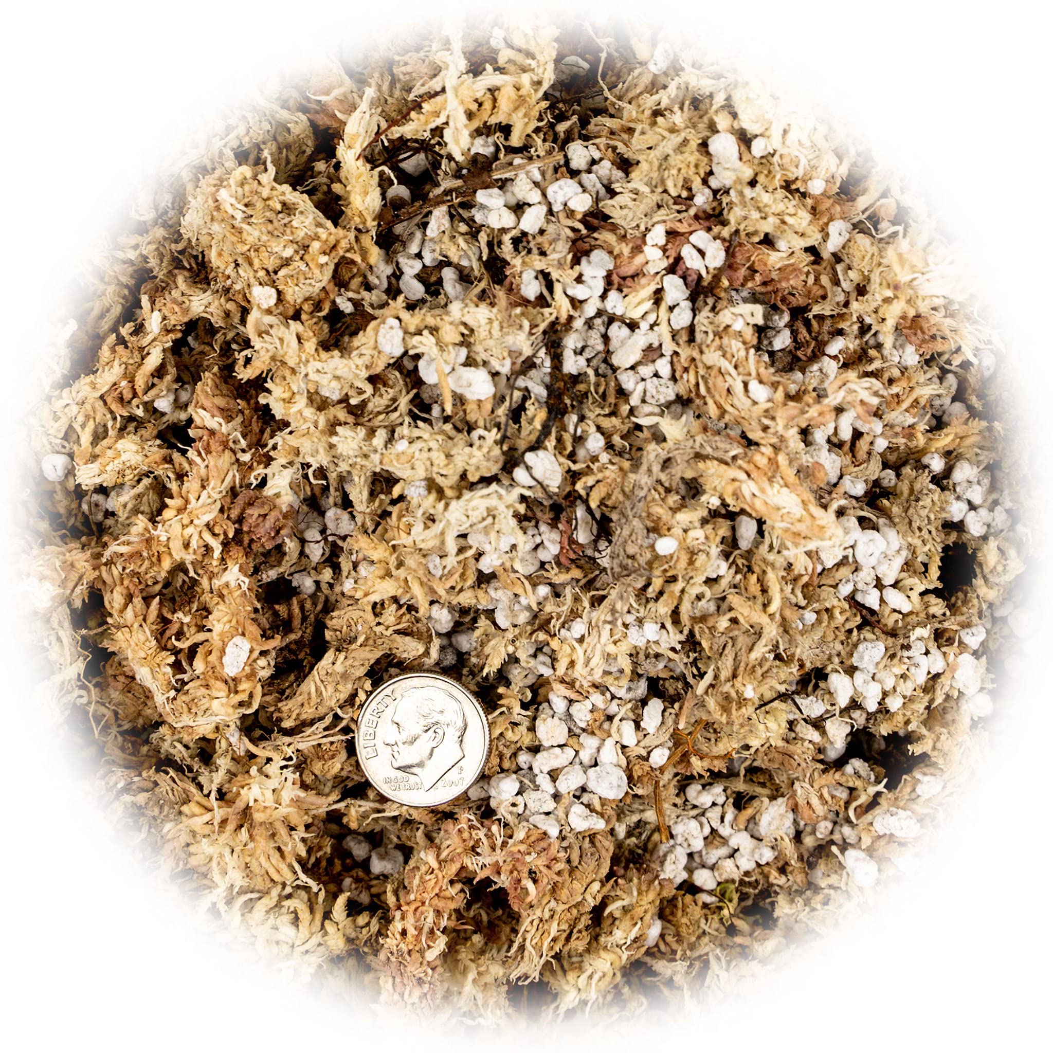 Gardenera Sphagnum Moss Potting Mix For Carnivorous Plants, Moss And