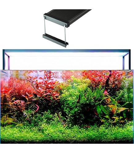 Amazon.com : TWINSTAR Aquarium LED Light B-Line (90B) : Pet Supplies