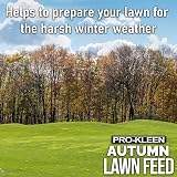 Pro-Kleen Autumn Lawn Feed 2.5kg - Green Up & Disease Prevention view 3
