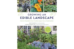 Growing an Edible Landscape: How to Transform Your Outdoor Space into a Food Garden