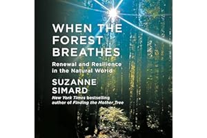 When the Forest Breathes: Renewal and Resilience in the Natural World