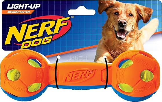 nerf hund
