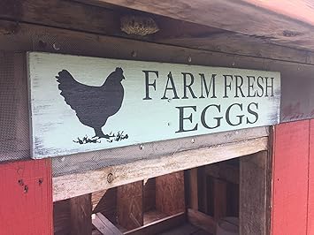 Amazon Com Ruskin352 Farm Fresh Eggs Sign Farmhouse Kitchen Egg Sign Chicken Coop Sign Home Kitchen Amazon Com Ruskin352 Farm Fresh Eggs Sign Farmhouse Kitchen Egg Sign Chicken Coop Sign Home Kitchen