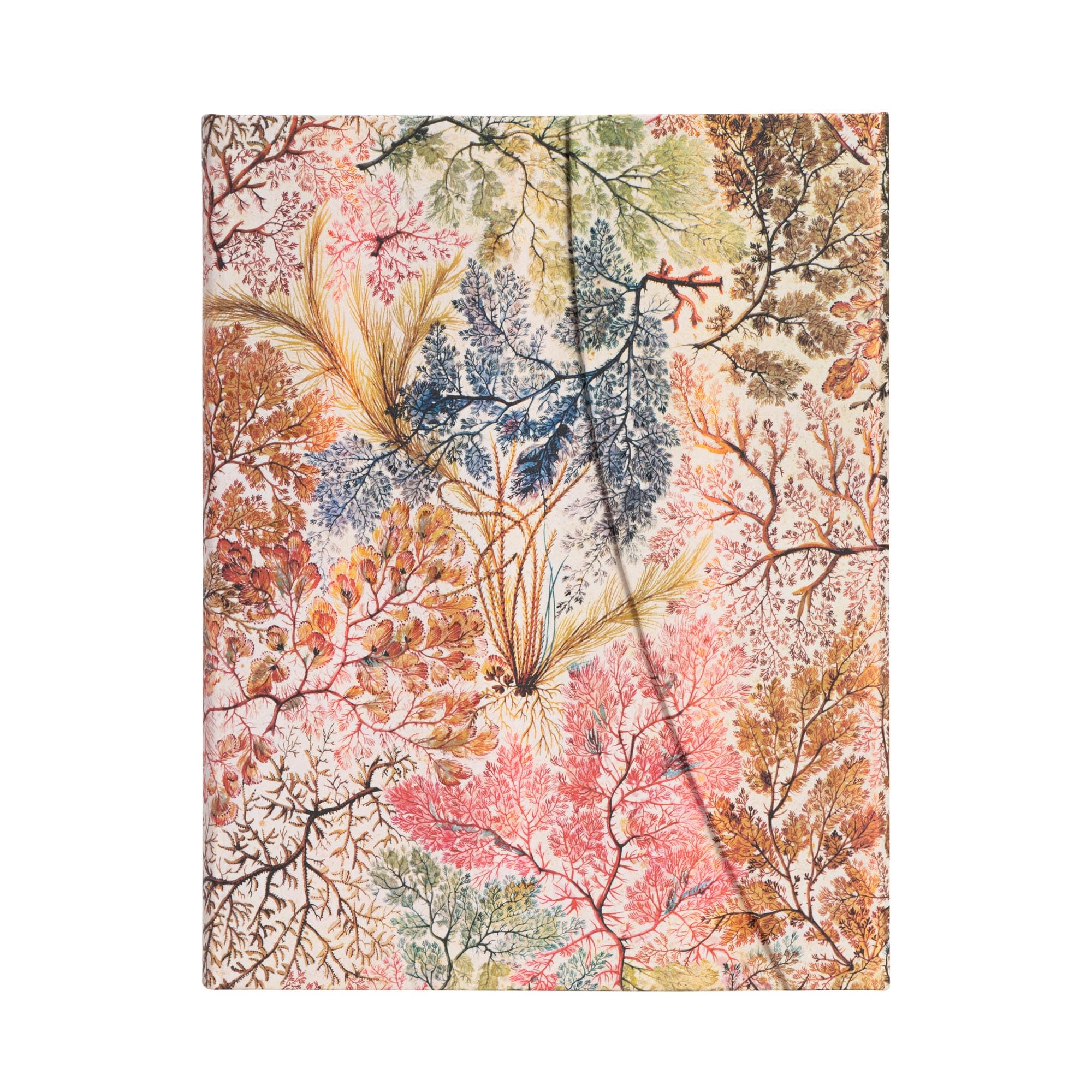 Paperblanks Hardcover Journal Anemone | Lined | Ultra (180 × 230 mm)
