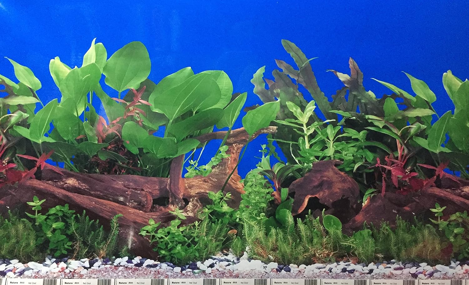 shalimar fish aquarium & pet shop