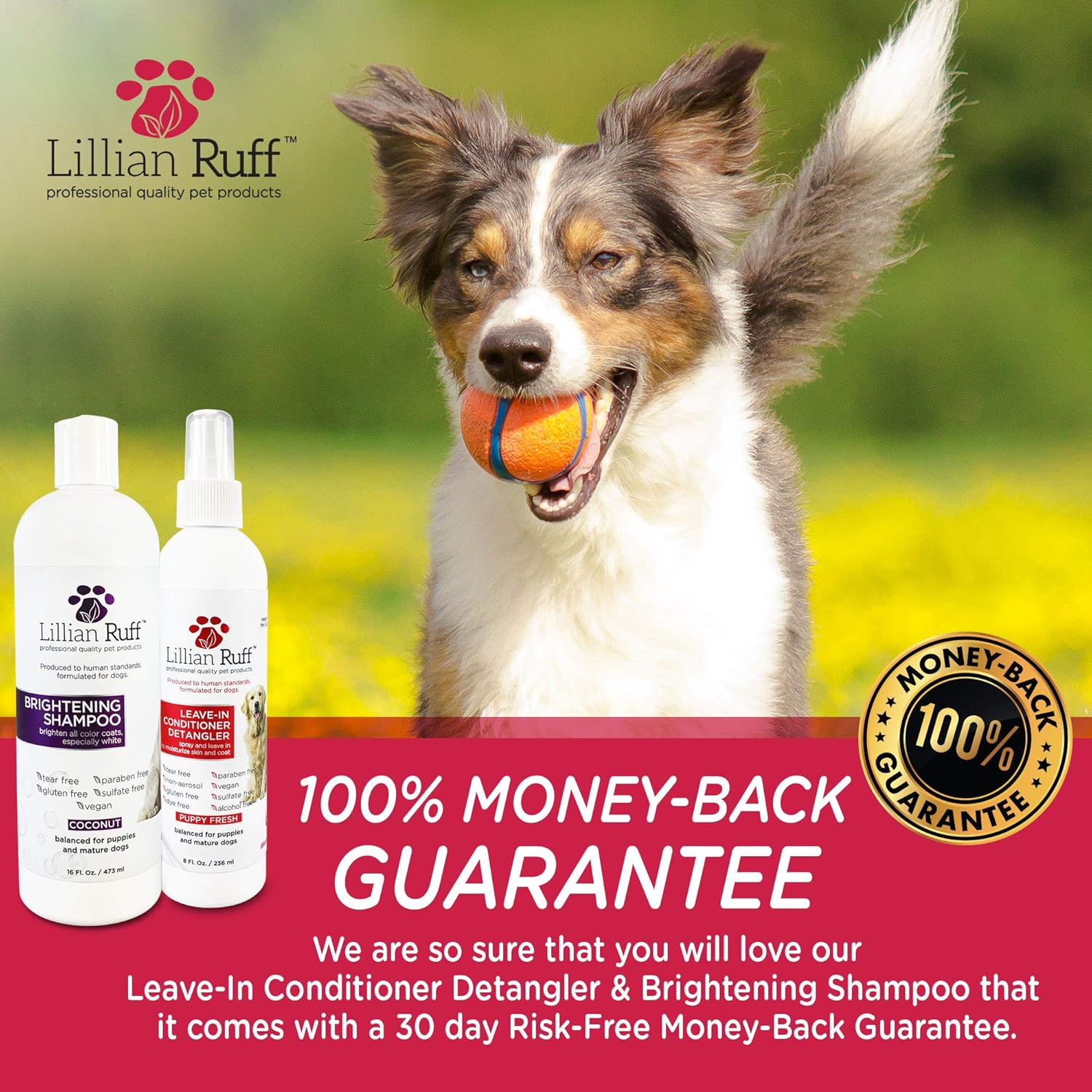dog detangler spray petsmart