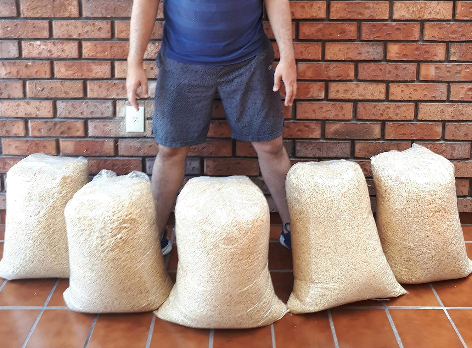 20 Kilos de Viruta Aserrin de madera para cama Conejos y cuyos Amazon