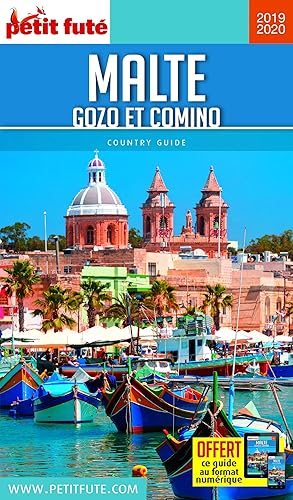 Download Petit Futé Malte : Gozo et Comino PDF