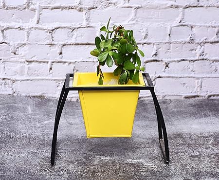 HINS Metal Pot Bucket Shape Flower Plant Pot with Black Iron Stand for Indoor & Outdoor Gardening Multicolour Set of 1 (Yellow)