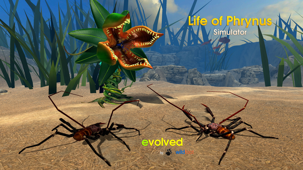Life of Phrynus - Whip Spider - Thumbnail 3