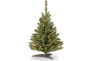 National Tree Company Pre-Lit Artificial Mini Christmas Tree, Green, Kincaid Spruce, White Lights, Includes Stand, 3 Feet