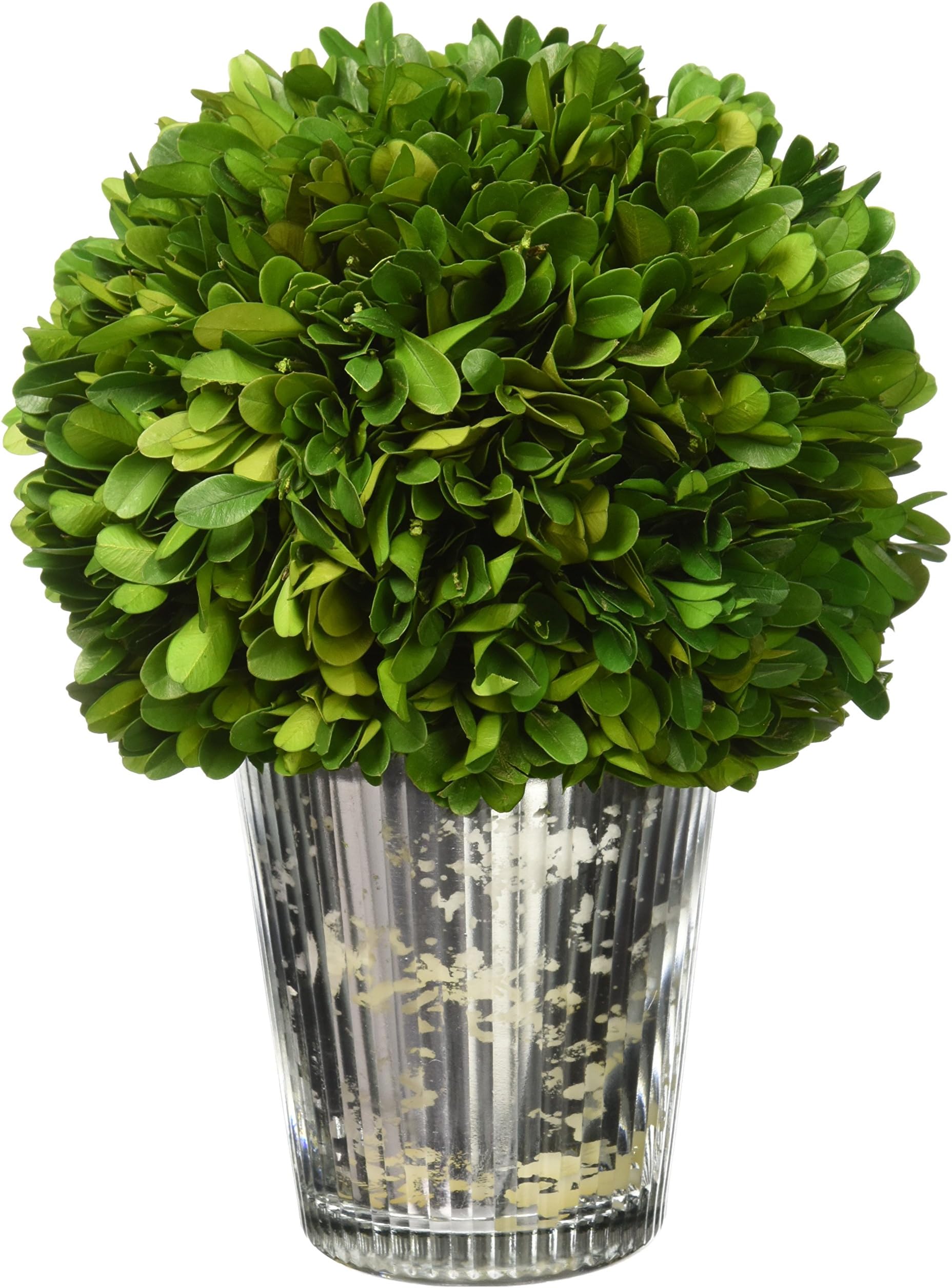 Preserved Boxwood Ball in Mercury Glass Finish, Medium