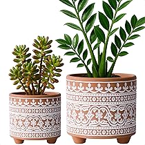 D'vine Dev Set of 2 Terracotta Planter Pots, 4 Inch & 6 Inch