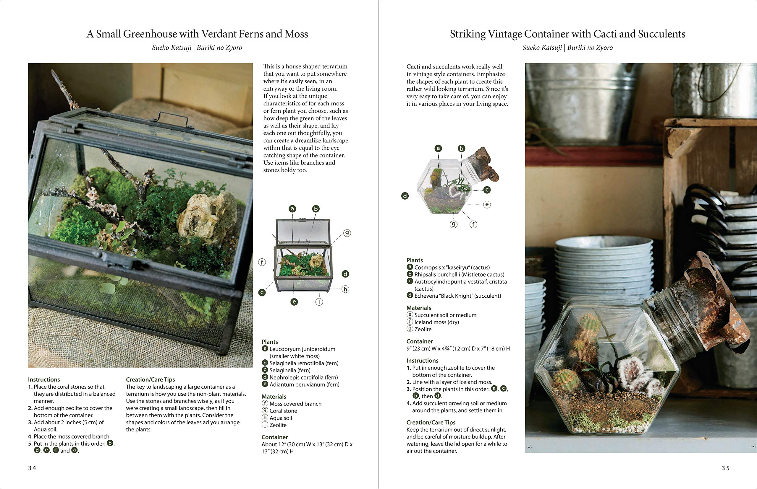 A Beginner S Guide To Terrarium Gardening Succulents Air Plants Cacti Moss And More Contains 52 Projects Katsuji Sueko Suzuki Motoko Kihara Kazuto Ohyama Yuya Amazon Com Books