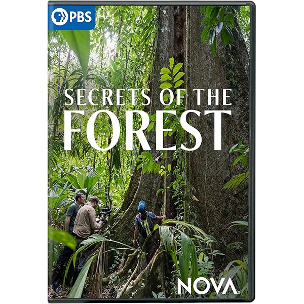 Amazon.com: NOVA: Revolutionary War Weapons DVD : Mercer