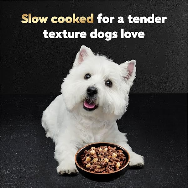 CESAR HOME DELIGHTS ADULT WET DOG FOOD, SLOW COOKED CHICKEN & VEGETABLES DINNER IN SAUCE AND BEEF STEW VARIETY PACK, 3.5 OZ. EASY PEEL DOG FOOD TRAY, 12 COUNT (PACK OF 2)