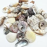 PEPPERLONELY Large Special Philipine Mix Sea