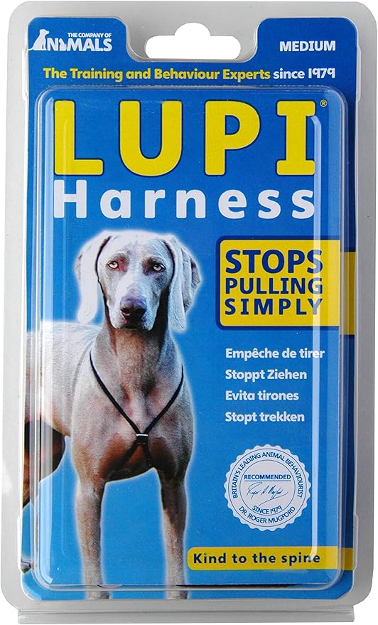 shih tzu 2 months old care