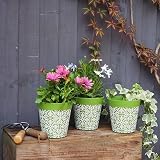 Hum Flowerpots 15cm Set of 3 Green Maroc Pattern Plastic Pots UK Made view 5