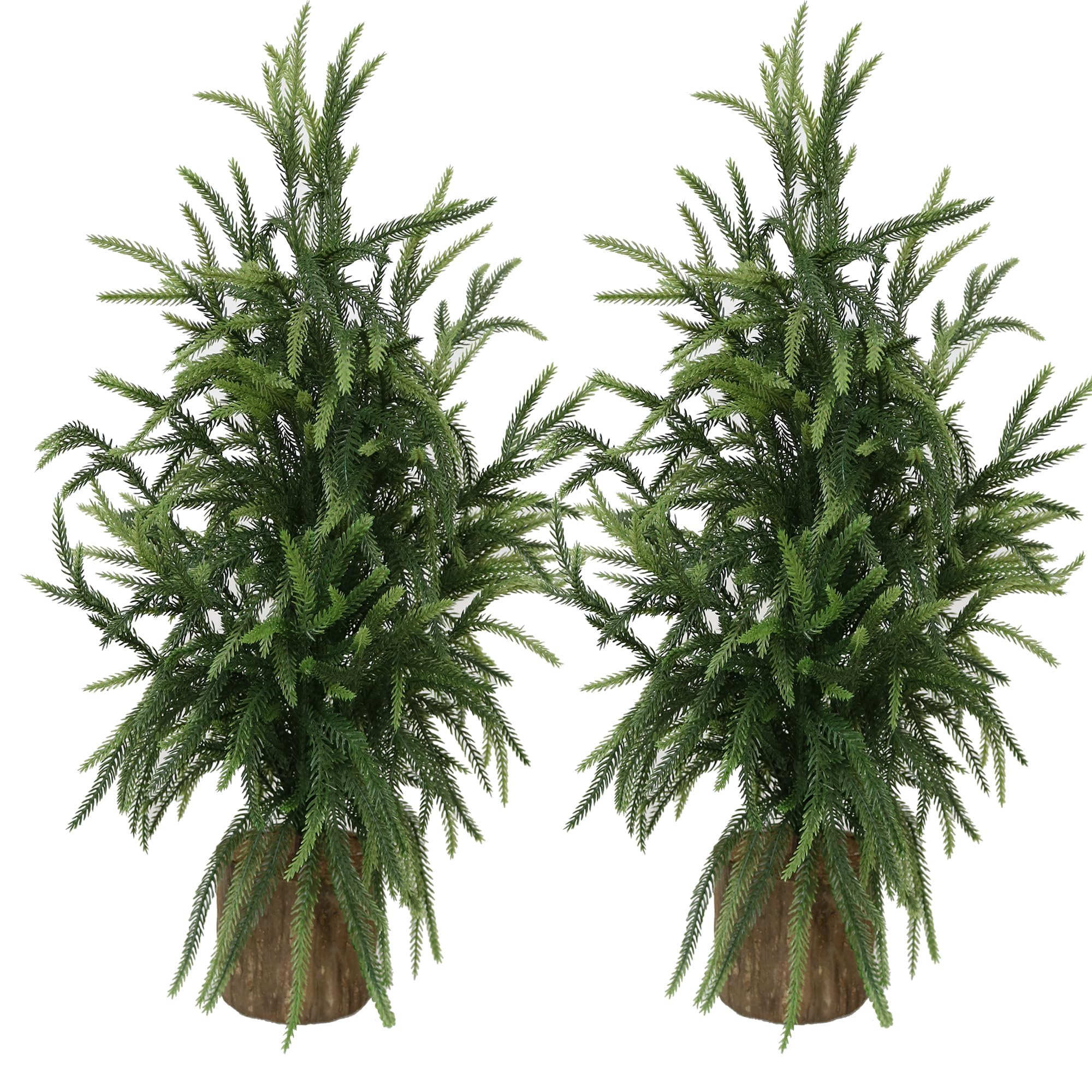 Photo 1 of 2 Pack 2ft Premium Lifelike Artificial Norfolk Pine Tree with Realistic Artificial Wood Pot Perfect Year-Round Indoor Outdoor Decor for Holidays Home Office